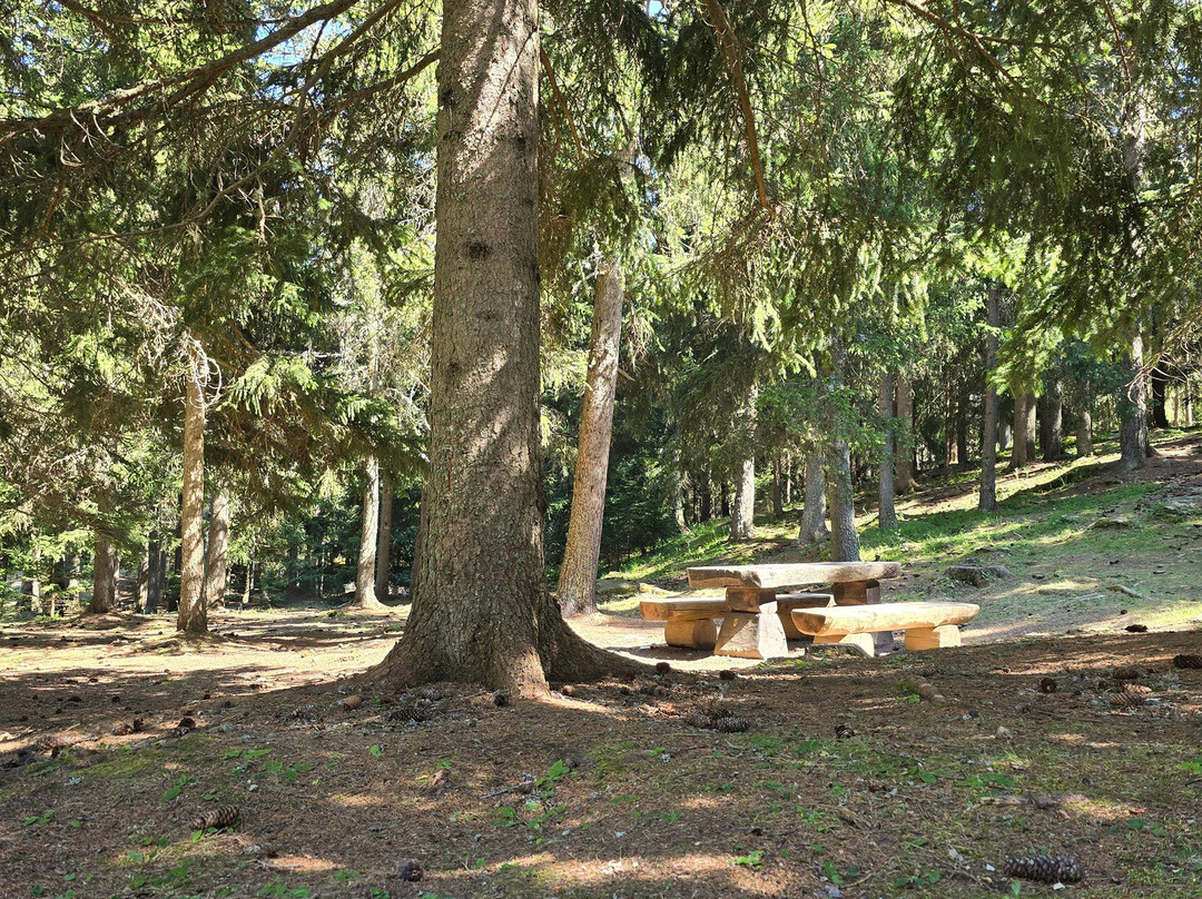Area pic nic "Chantorné"景点图片