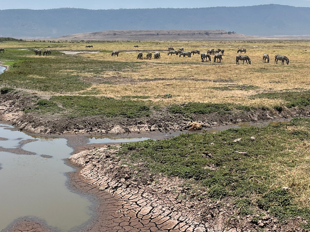 Ngatunga Tours-乞力马扎罗山国家公园必去景点