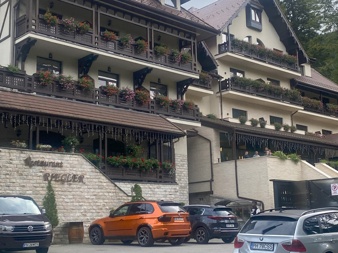 Hotel Foisorul cu Flori主图