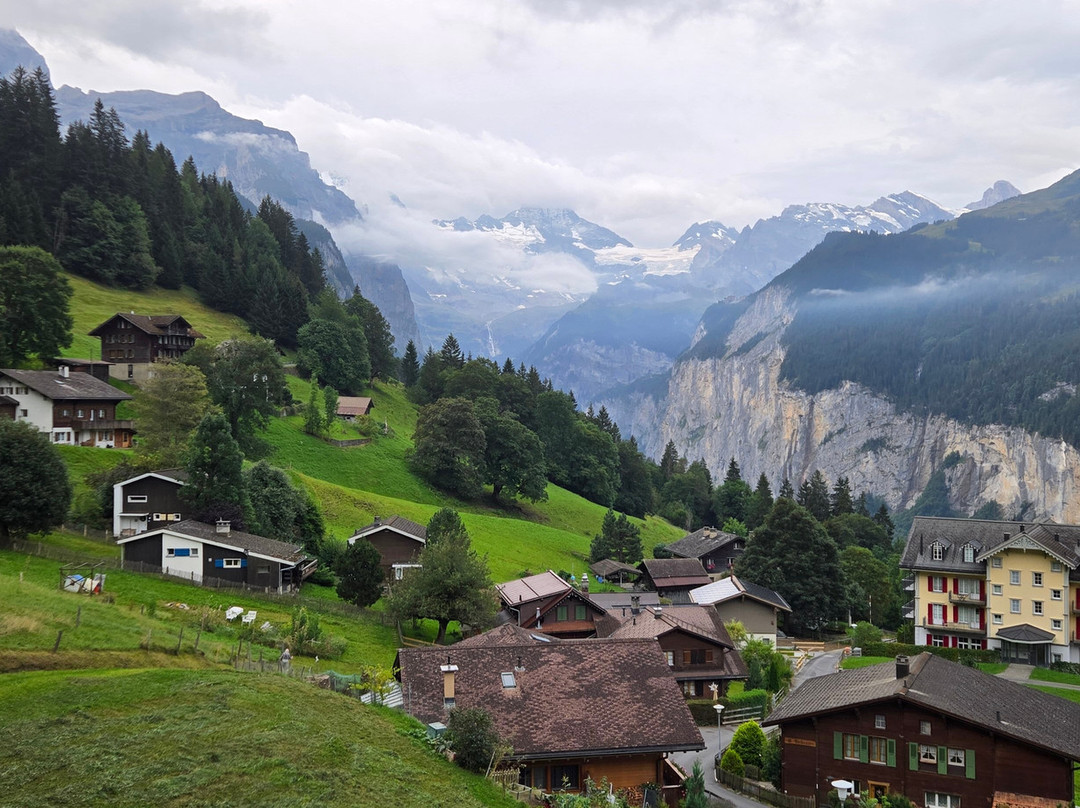 埃里卡小屋酒店主图