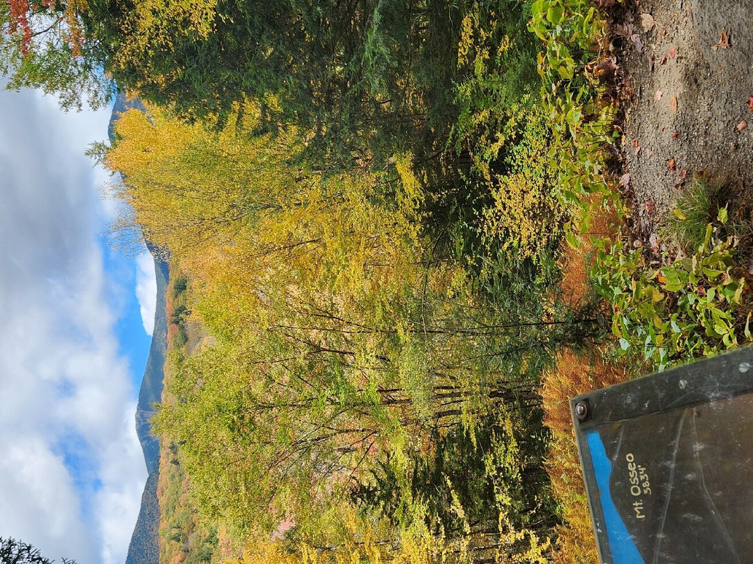 Barron Brook Inn主图