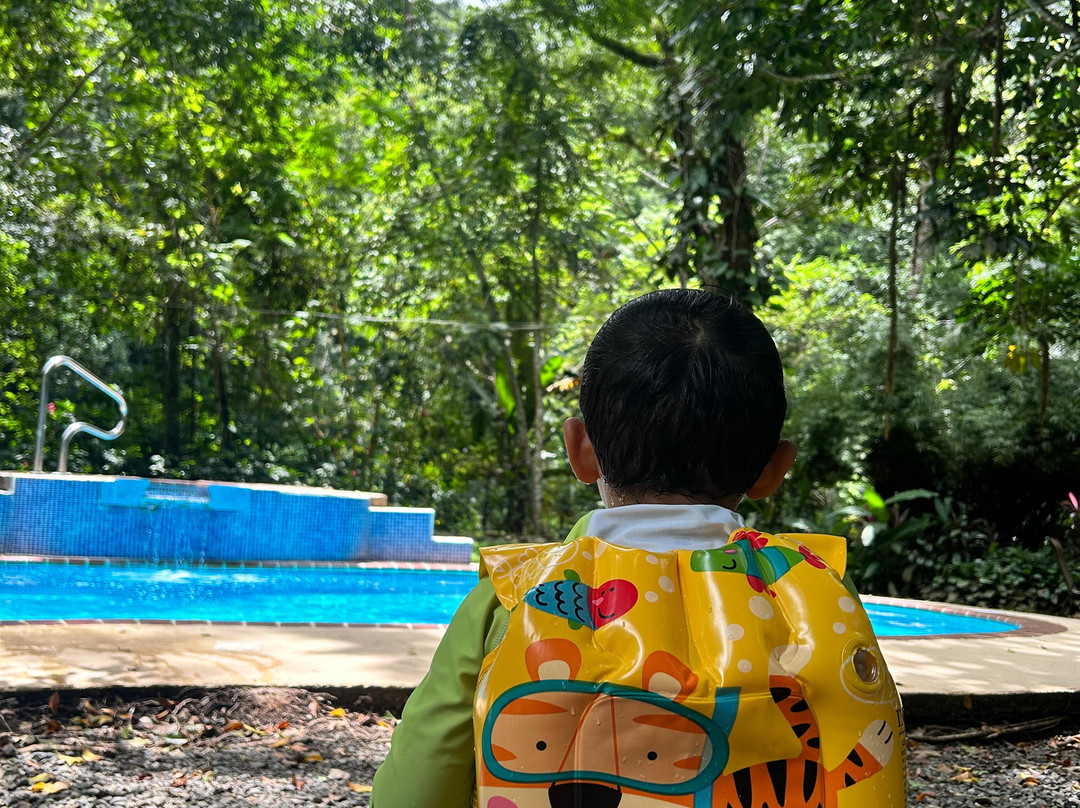 Santa Lucia Jungle Hacienda主图