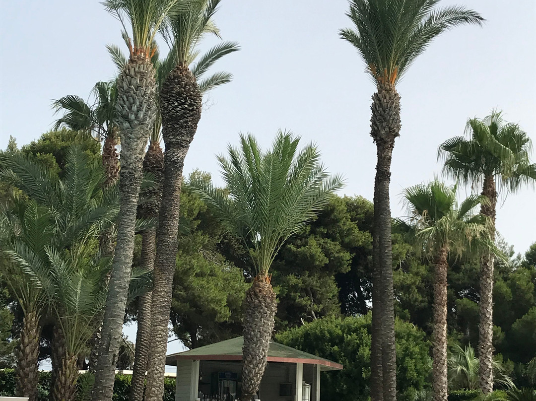 Alliste酒店住宿-Giardino Dei Pini