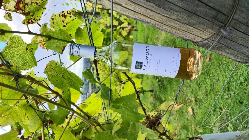 Dalwood Vineyard-Dalwood必去景点