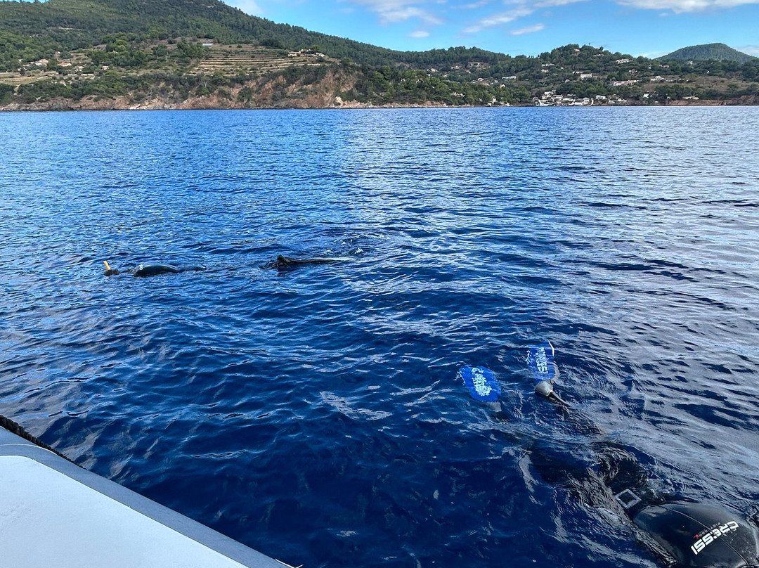 Apneazur-Carqueiranne必去景点