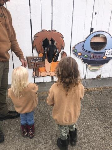 Maris Farms-Buckley必去景点