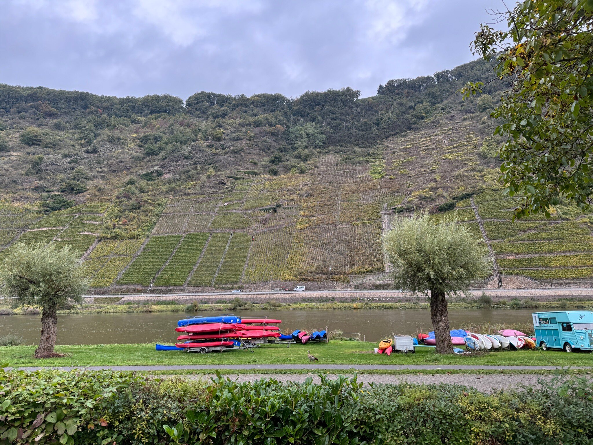 Ferienweingut Zenz-官方