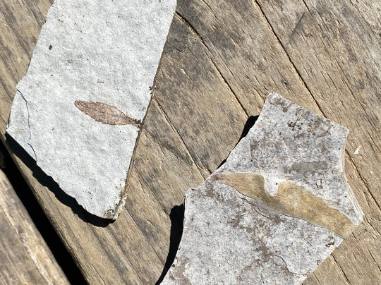 Florissant Fossil Quarry-Florissant必去景点