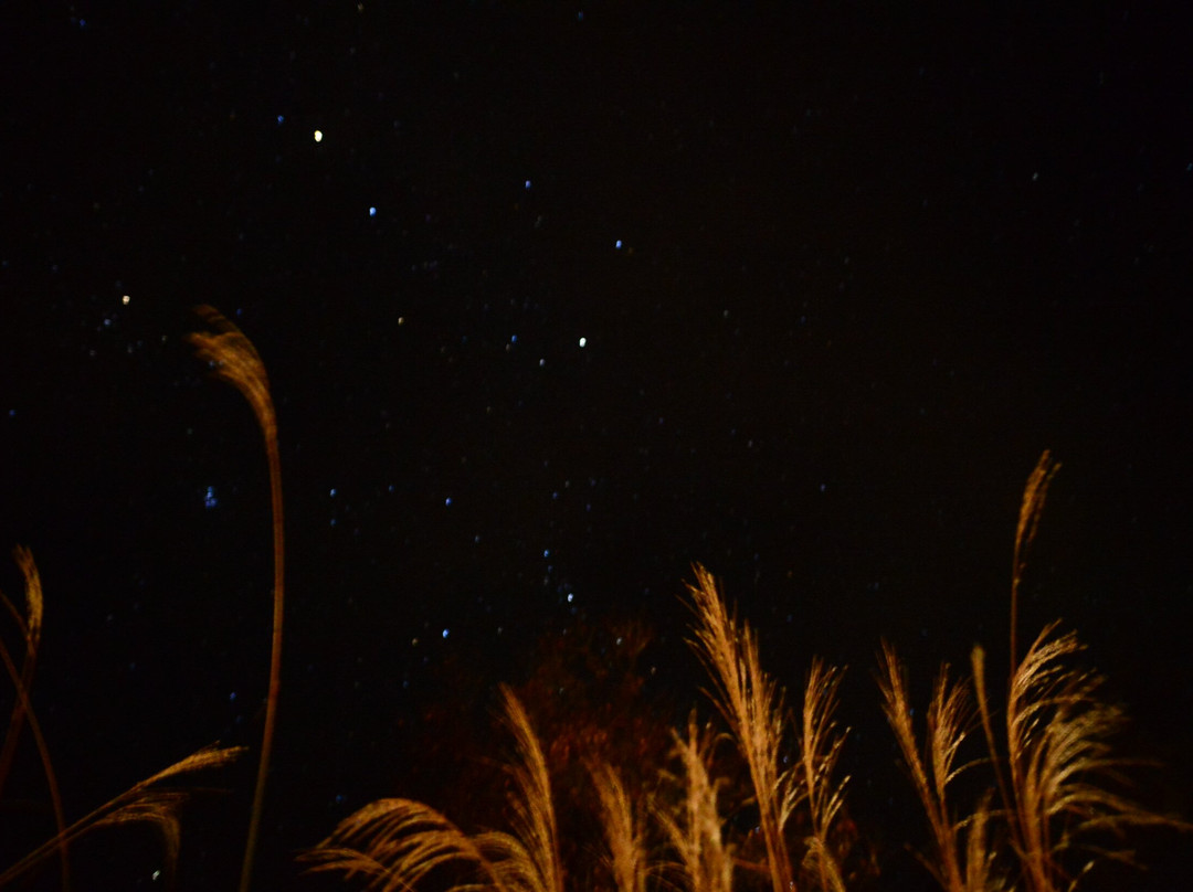 Tsurunoyu Onsen-仙北市必去景点