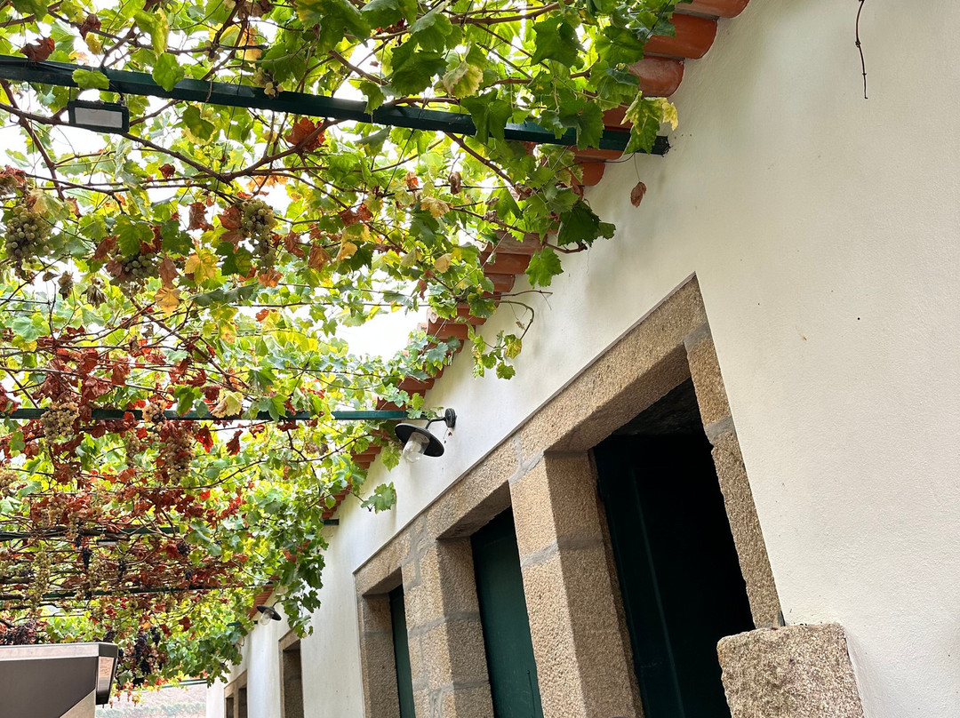 Gricha Vineyard House主图