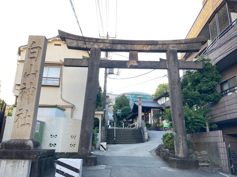 白山神社-文京区必去景点