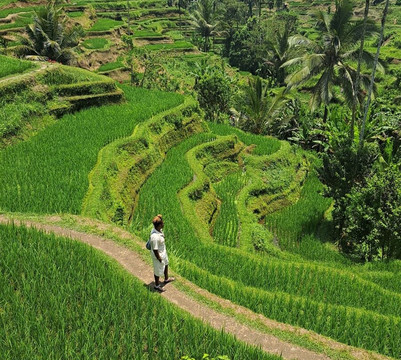 Tuti Bali Driver-登巴萨必去景点