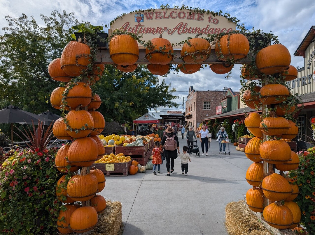 Davison Orchards Country Village景点图片
