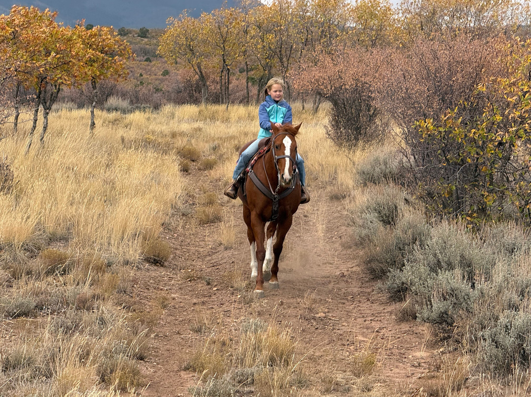 Mountain Joe's Trail Rides-La Sal必去景点