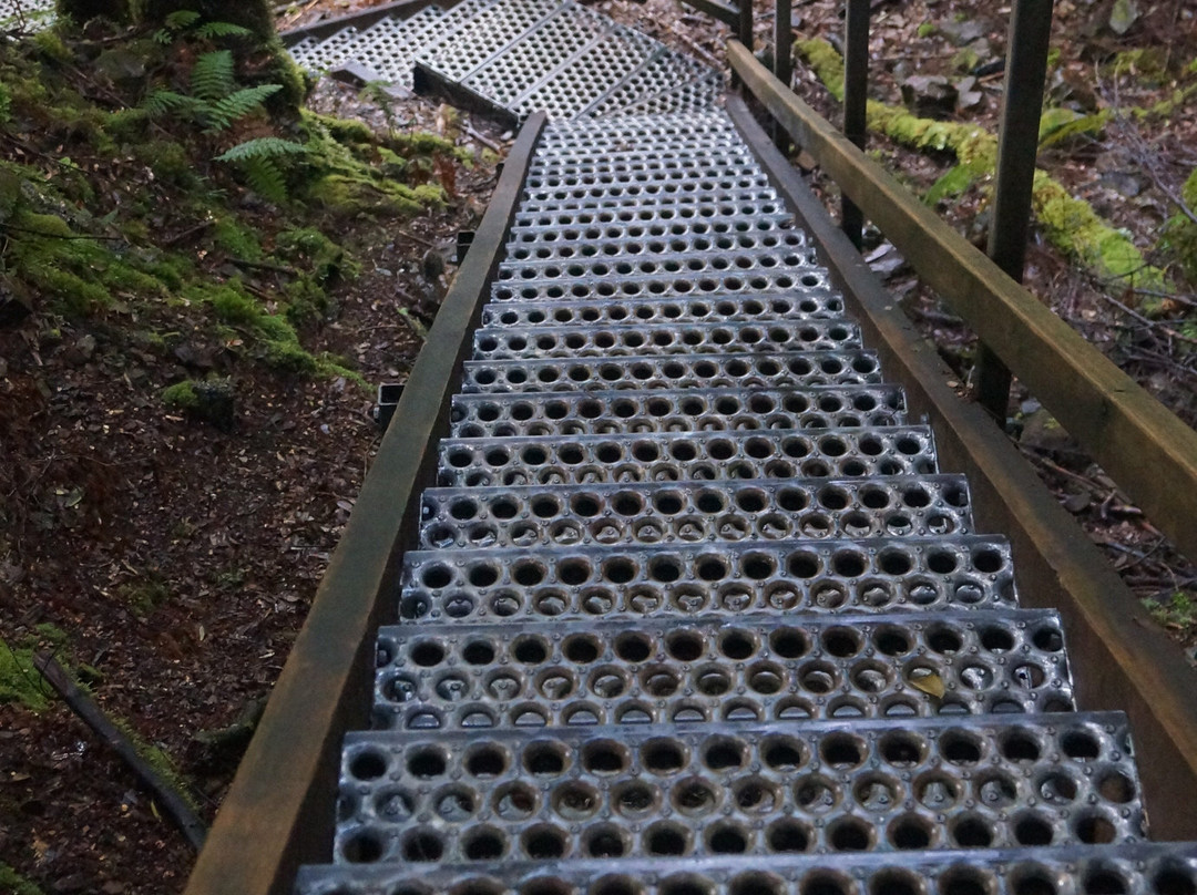 Philosopher Falls-Waratah必去景点