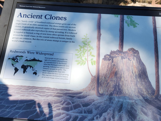 Florissant Fossil Beds National Monument-Florissant必去景点