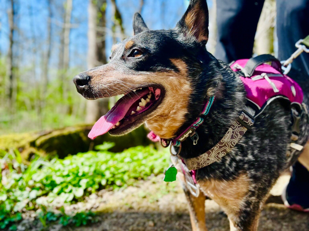 Cincinnati Nature Center-Milford必去景点