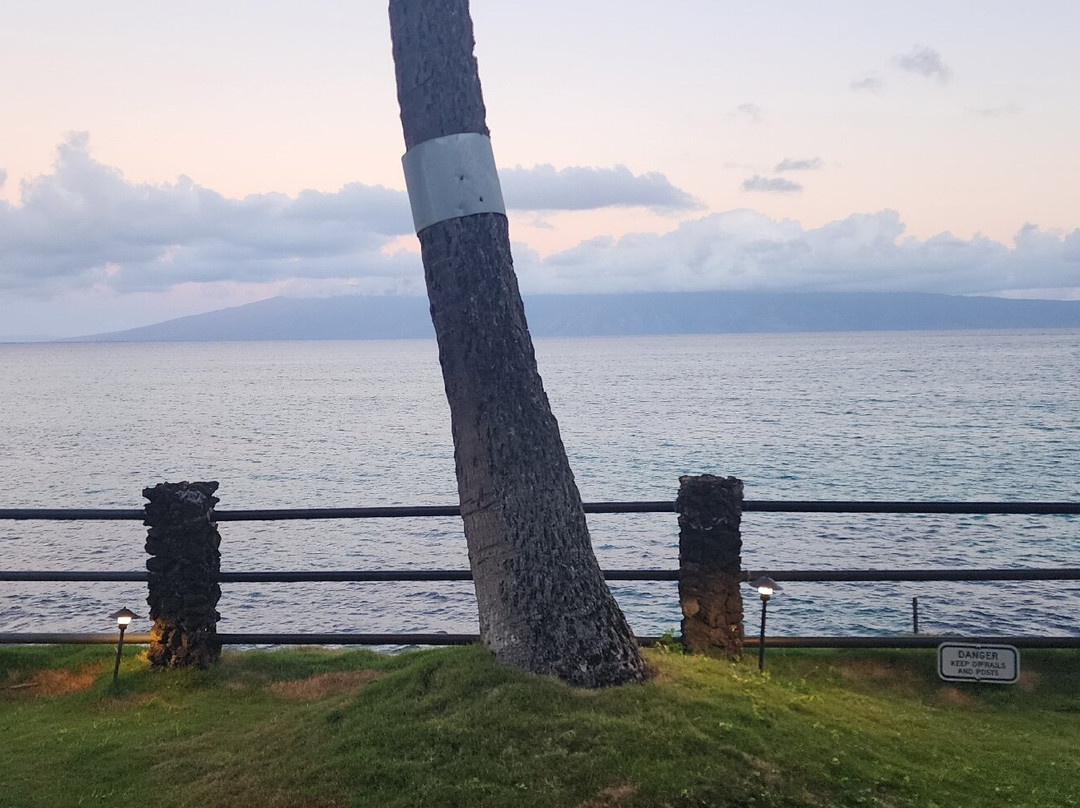 Noelani Hawaii-哈雷瓦必去景点