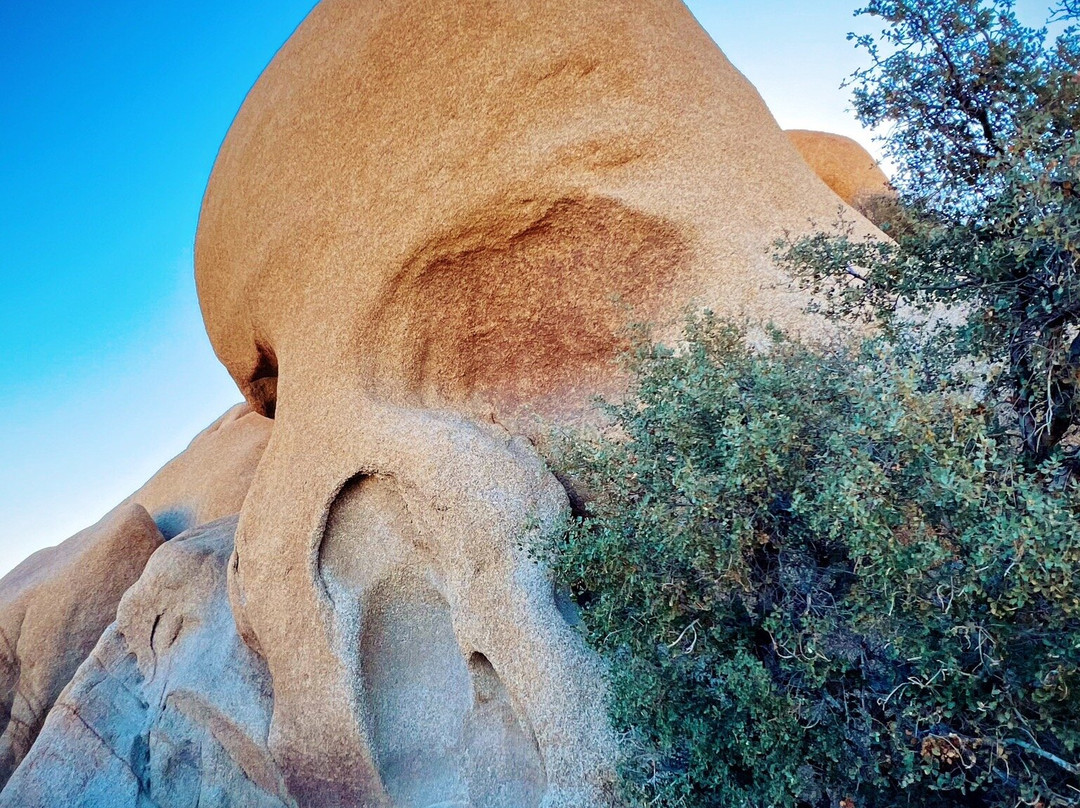 Skull Rock-约书亚树国家公园必去景点