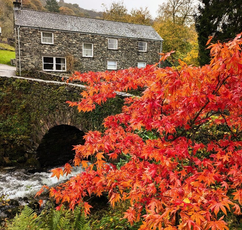 Rydal Hall Sculpture Path景点图片