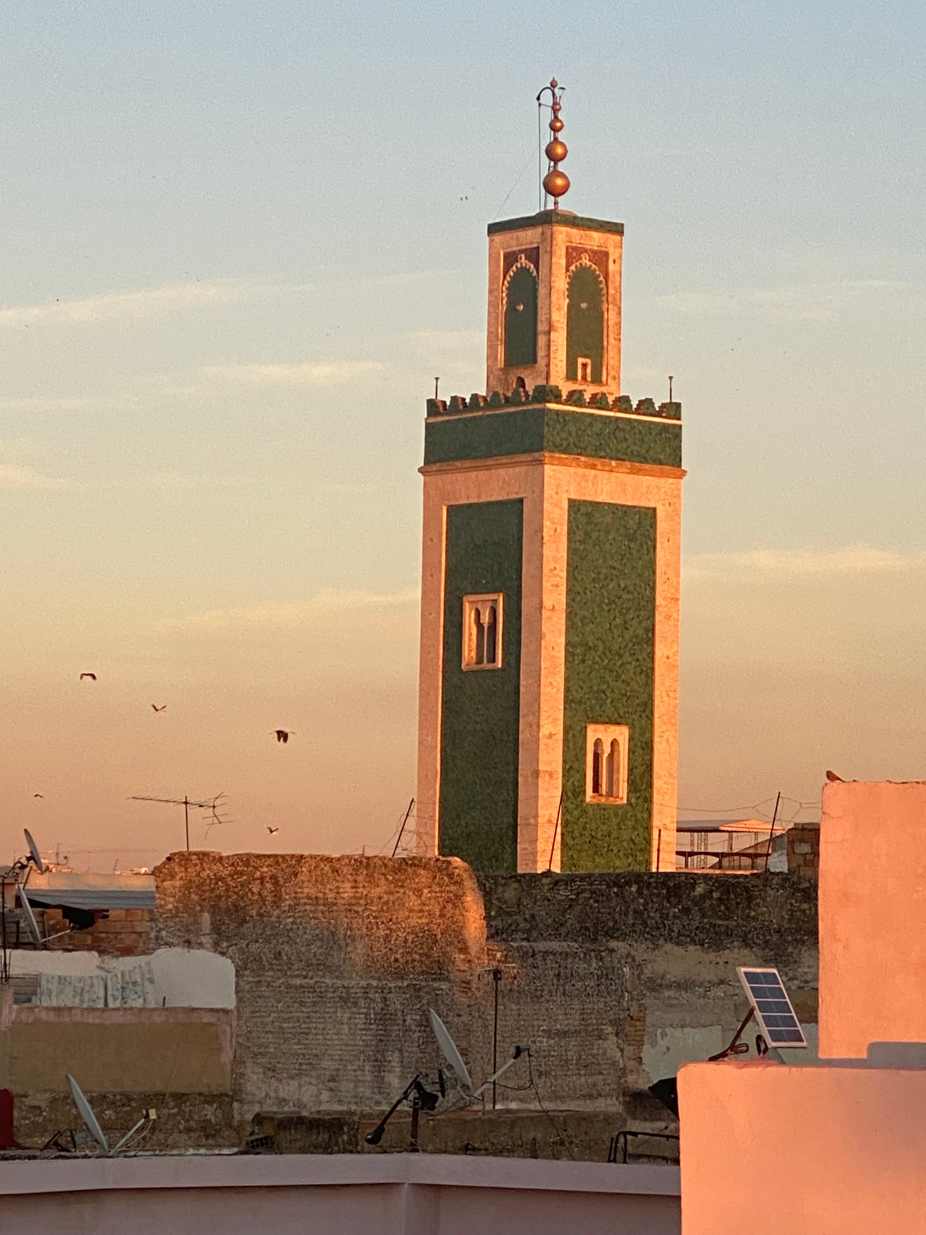 Riad Zahraa-官方