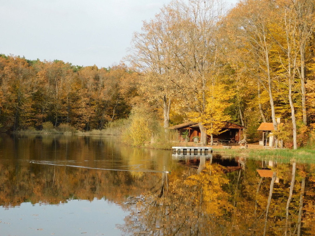 Slovenia, Dobrovnik, Energijski Park景点图片
