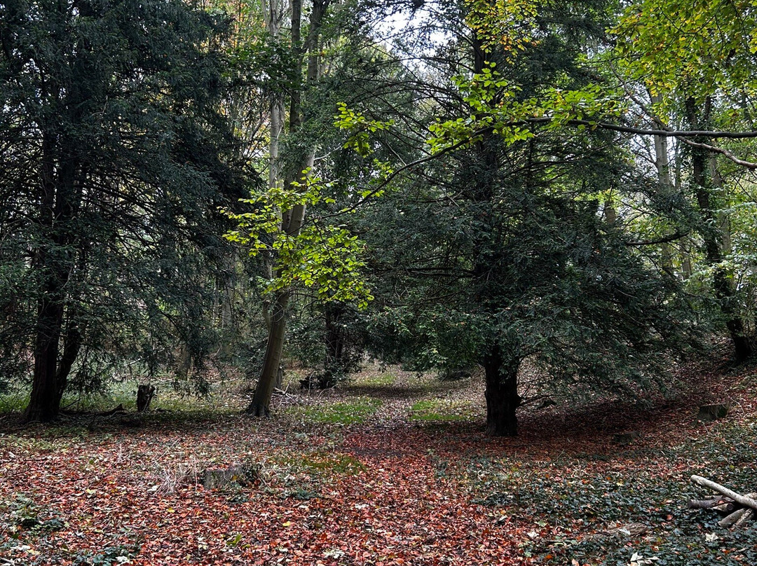 Walsingham Abbey景点图片