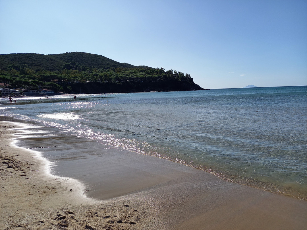 Spiaggia di Lacona景点图片
