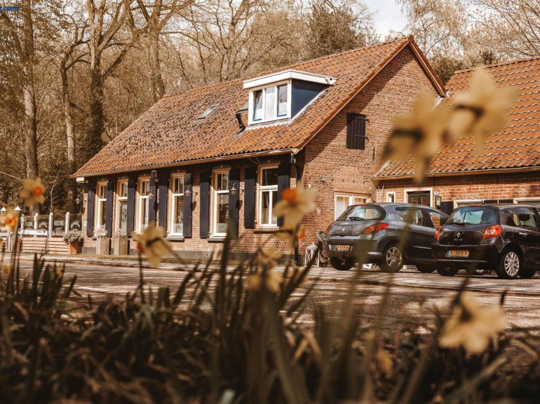 Hotel 't Welink主图