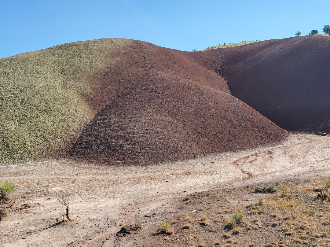 John Day Fossil Beds National Monument, Painted Hills Unit景点图片