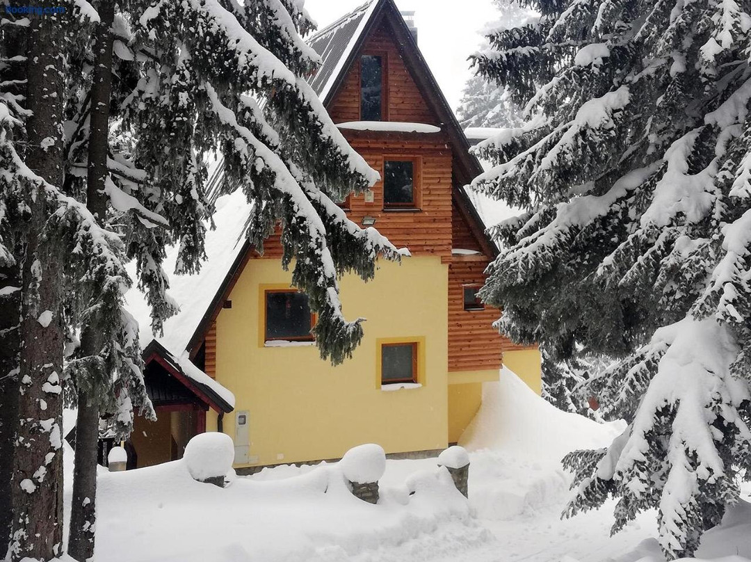 Villa Franka - Vlasic