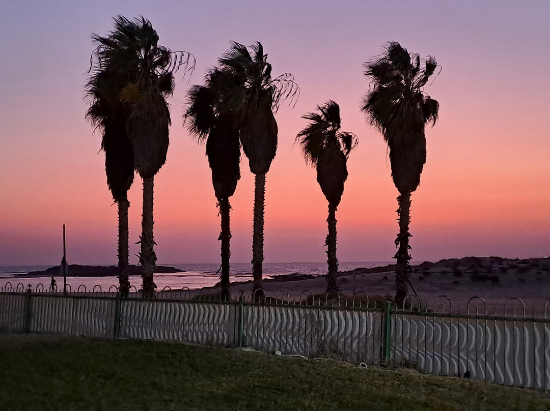 Nahsholim Beach Hotel主图