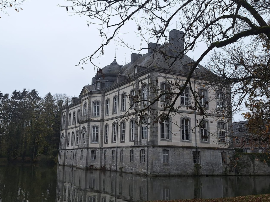 Chateau de Vierset主图