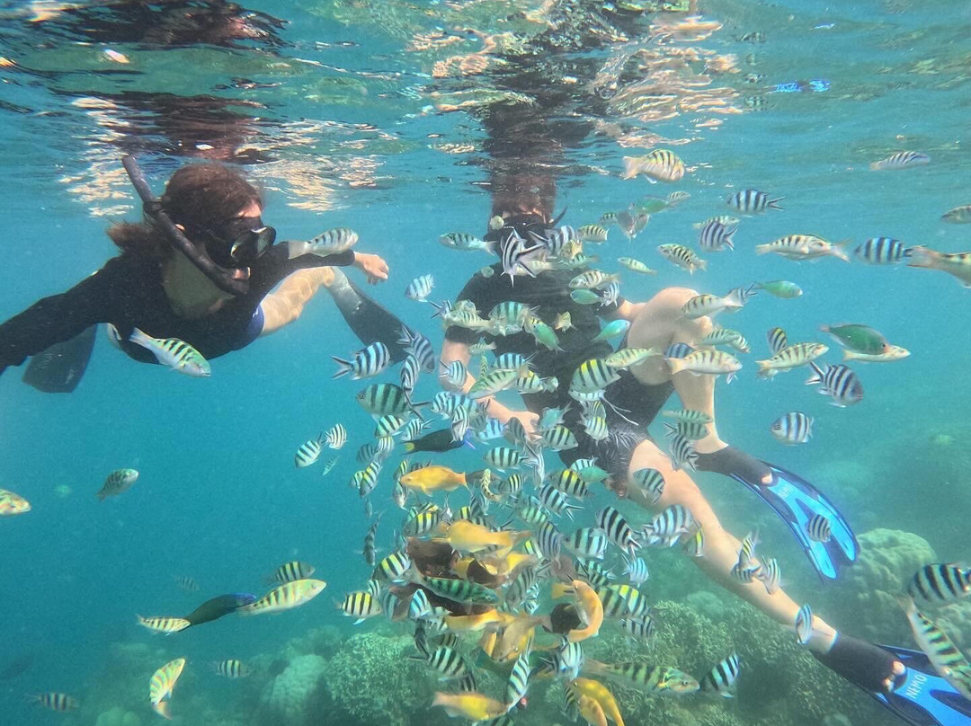 White Rose Guest House主图