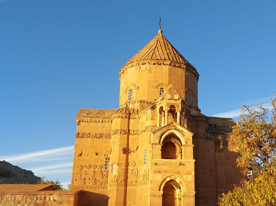 Elite World Van主图