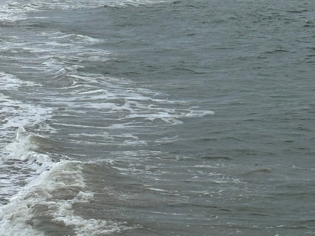 Buckroe Beach and Park-汉普顿必去景点