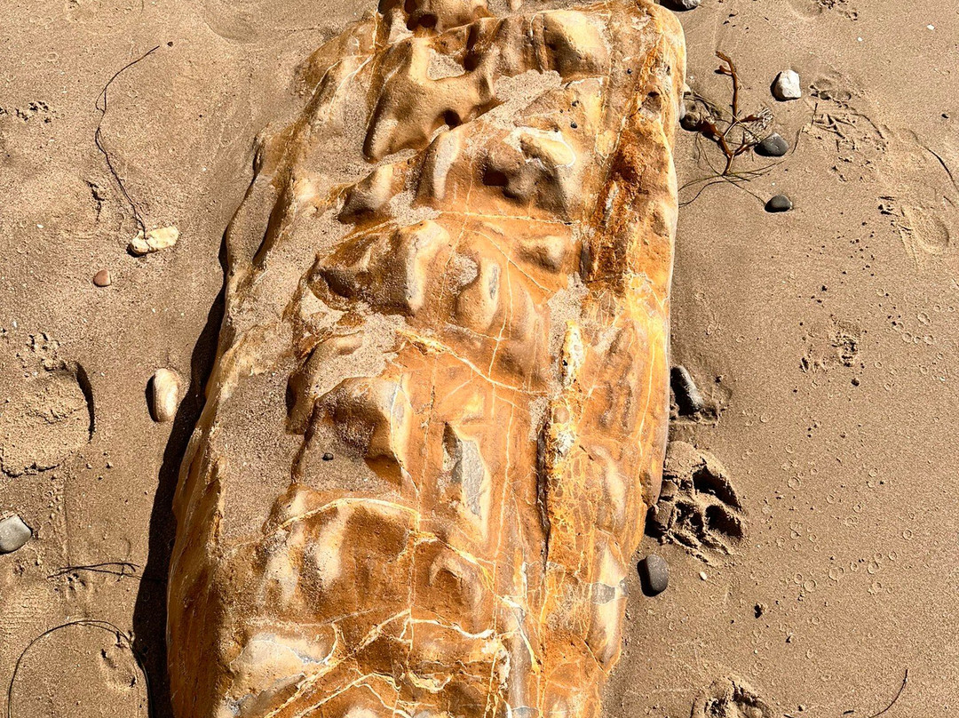 Thousand Steps Beach-圣巴巴拉必去景点