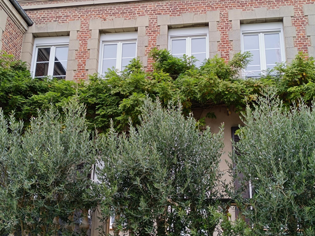 Le Clos Saint Georges主图
