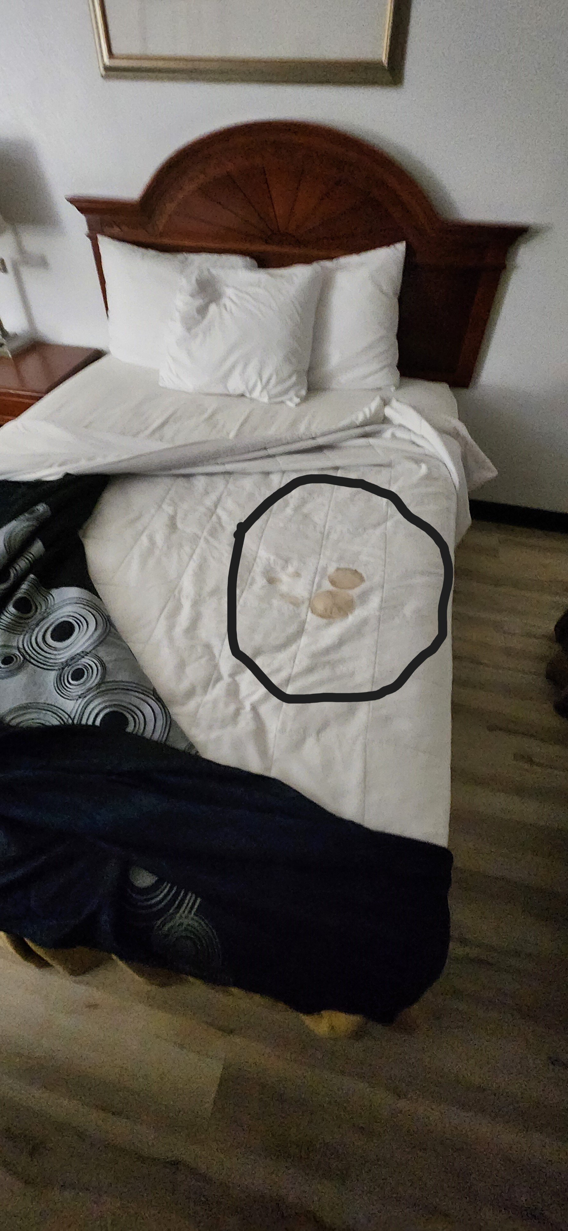 Wingate By Wyndham Eagle Vail Valley-客卧