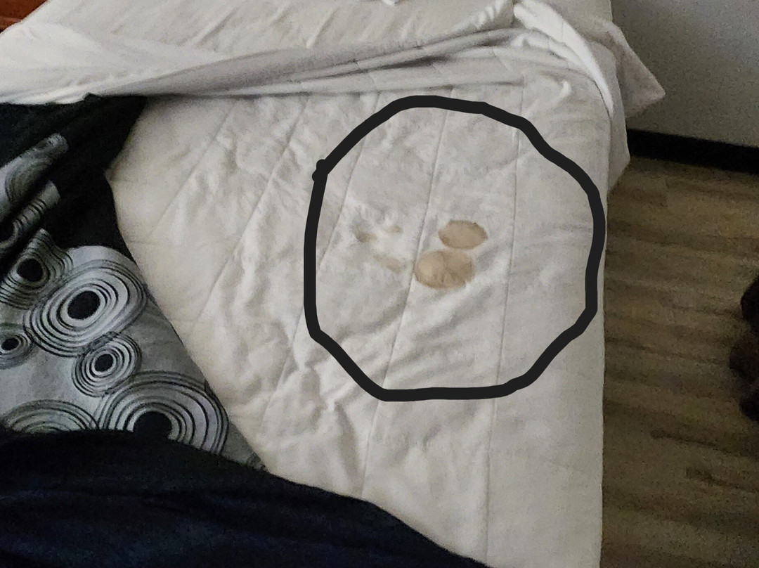 Wingate By Wyndham Eagle Vail Valley主图