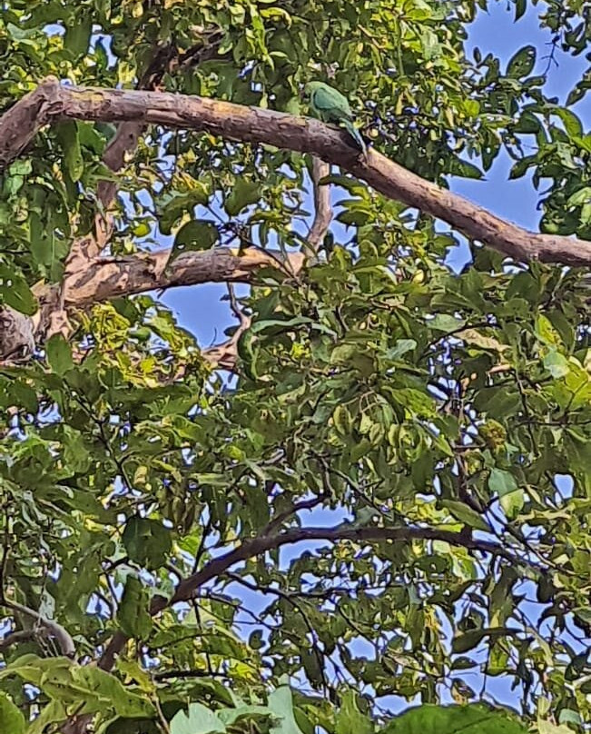 Tipeshwar Wildlife Sanctuary景点图片