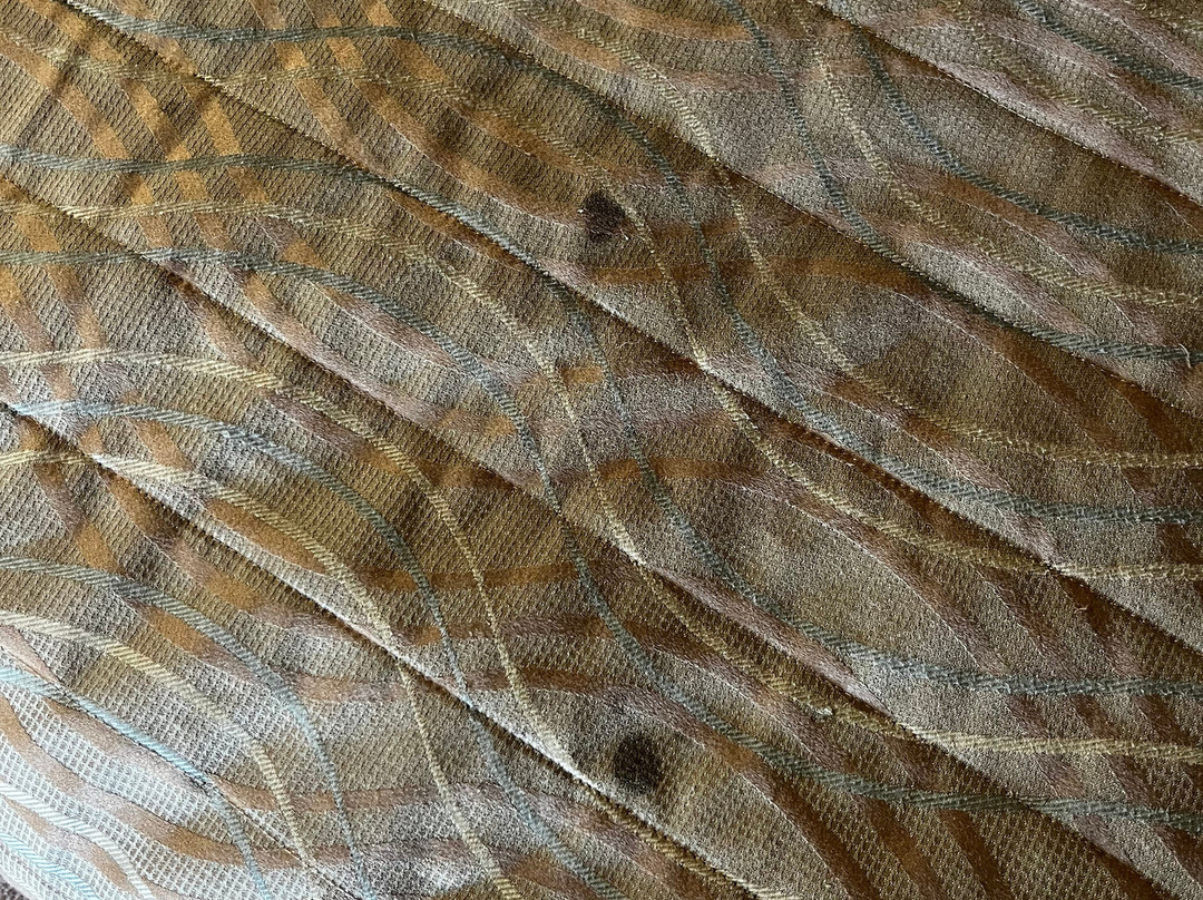 Tenterfield Motor Inn主图