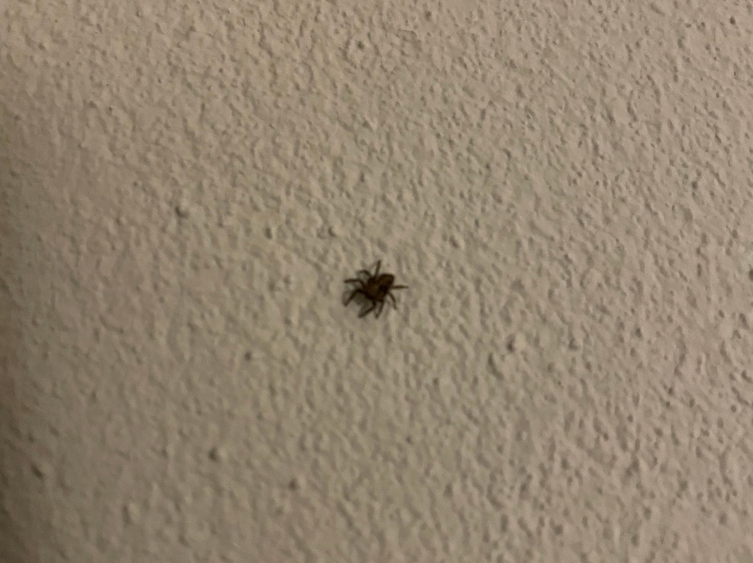 里德纳斯酒店&会议中心主图