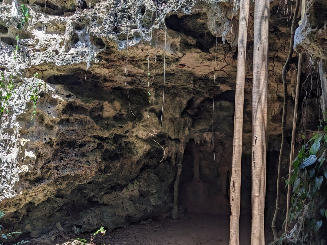 Kiwengwa Caves-基万嘎必去景点