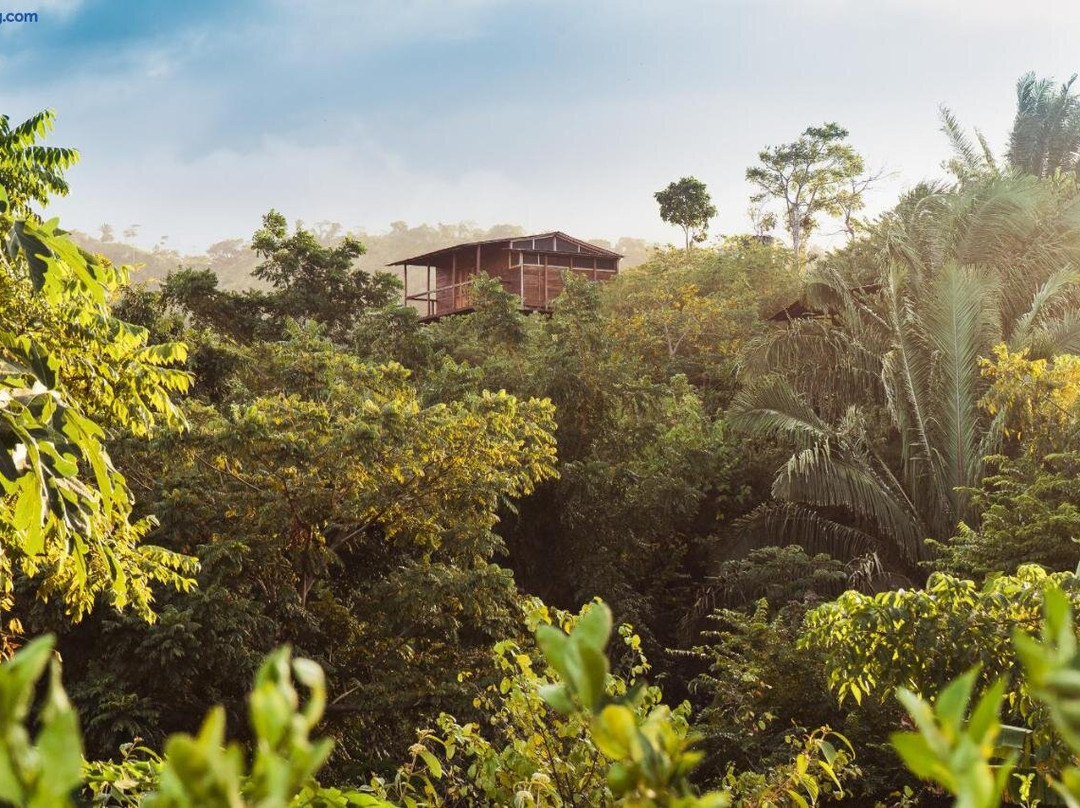 La Casita del Bosque