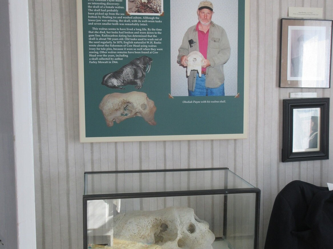 Dr. Henry N. Payne Community Museum景点图片