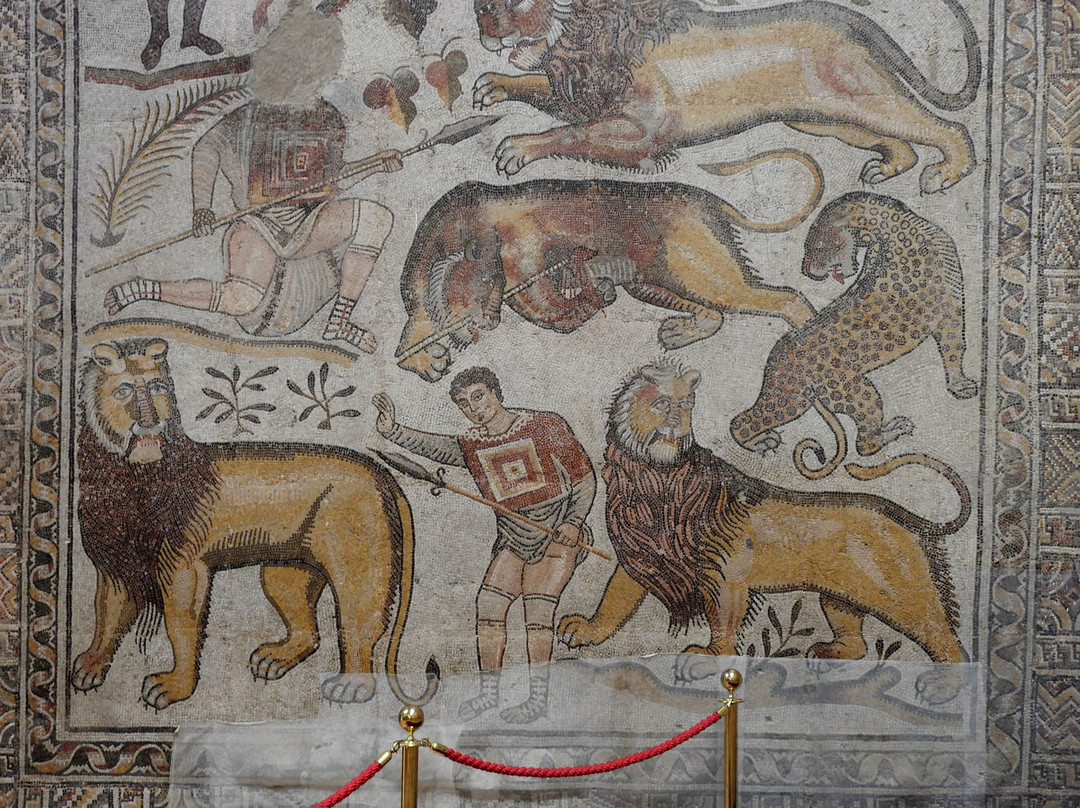 Djemila Museum景点图片