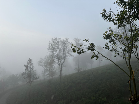 旺特山-哈普塔勒主图