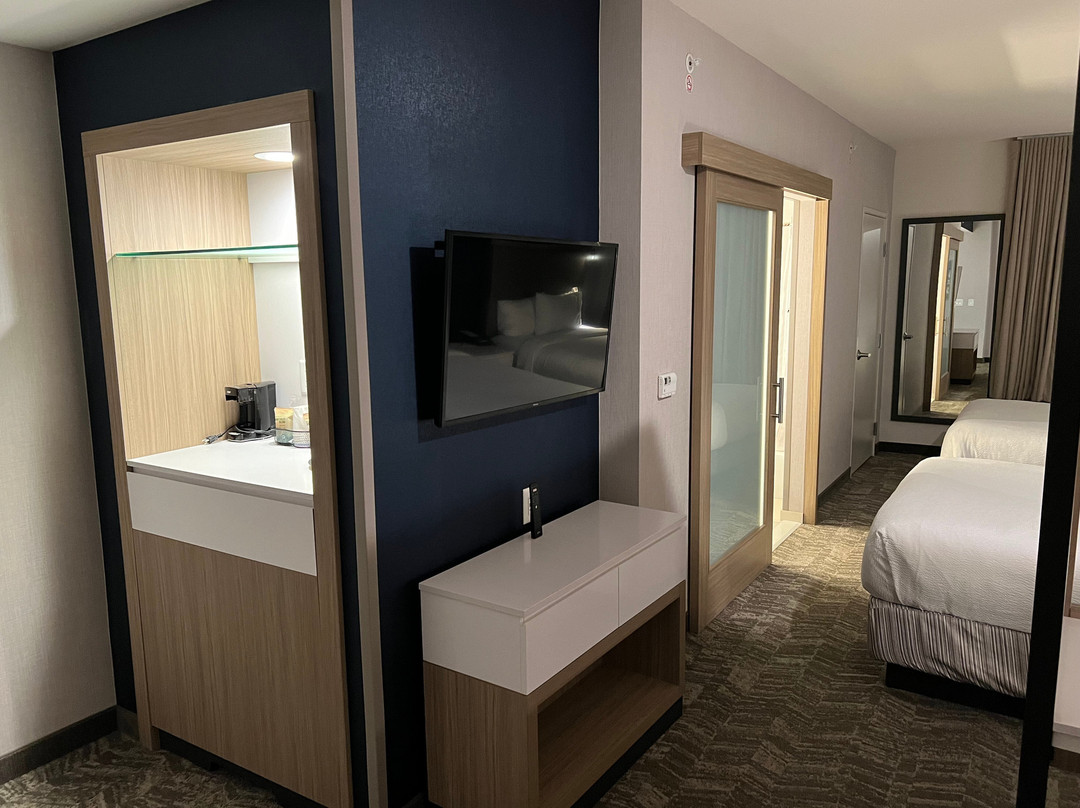 Marriott Franklin Cool Springs的SpringHill套房