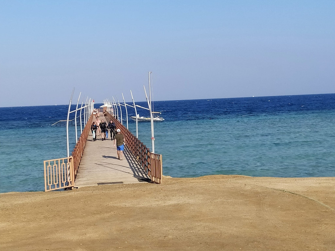 Molo Abu Dabbab-马萨阿拉姆必去景点